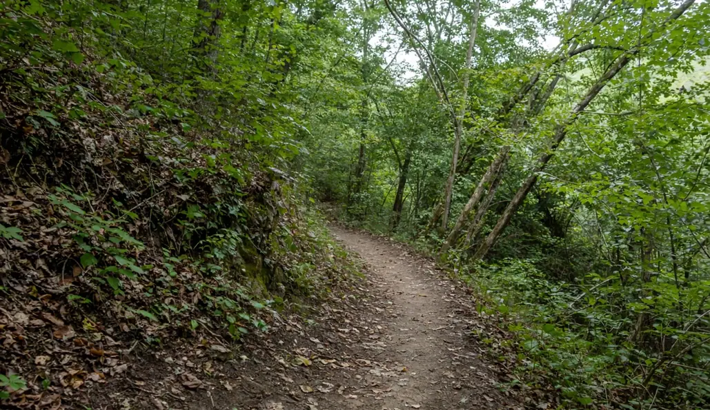 Image showing trail pacing
